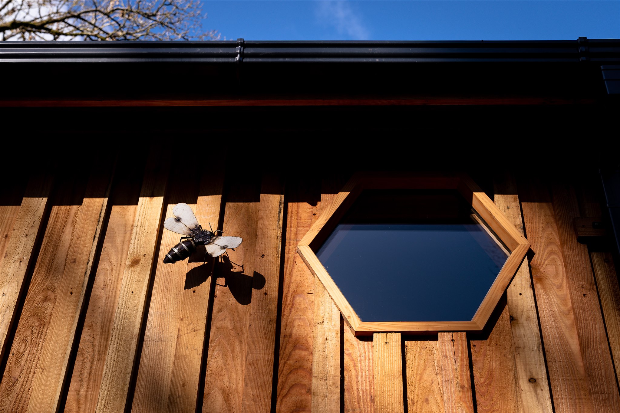 Honeycomb window